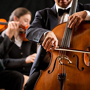 Orchestra